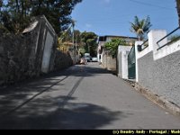 Portugal - Madere - Funchal - 032